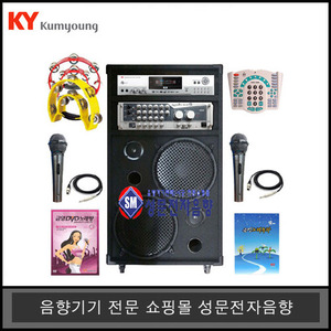 노래방반주기세트11KDVD-2500금영가정용일체형 유선마이크세트