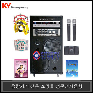 노래방반주기세트13KDVD-1100금영가정용일체형 무선마이크세트