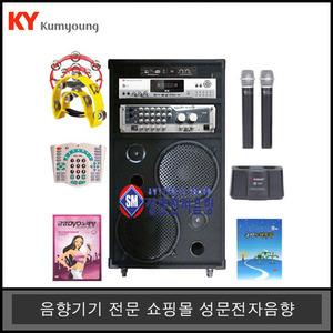 노래방반주기세트14KDVD-2500금영가정용일체형 무선마이크세트