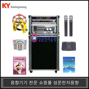 노래방반주기세트19KDVD-1100금영가정용일체형 무선마이크세트
