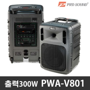 VICBOSS PWA-V801 300W 충전형앰프  버스킹 이동식 포터블 앰프 강의용 공연용